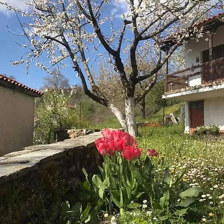 εξοχικη κατοικια ευαγγελια * Pavliani