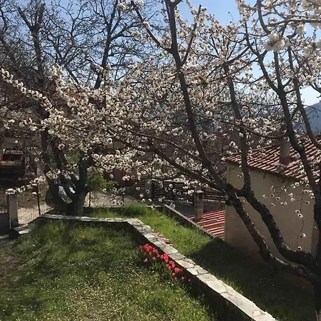 εξοχικη κατοικια ευαγγελια *