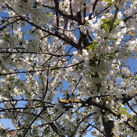 Ferienhaus εξοχικη κατοικια ευαγγελια Pavliani