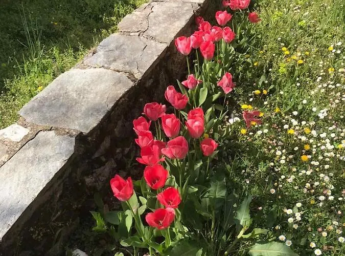 Holiday home εξοχικη κατοικια ευαγγελια Pavliani